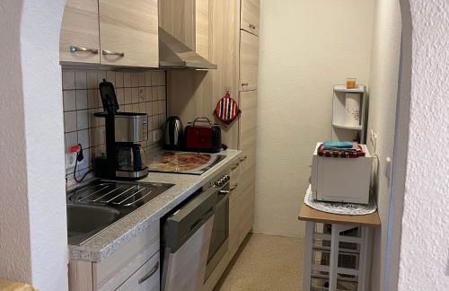 -am Fuß zum Zittauer Gebirge- - Foto 7