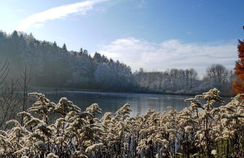 Hennen-Nest - Foto 29
