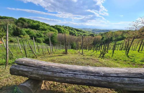 Holiday Home Medimurski Ceker - Foto 57