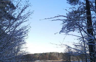 Ferienhaus Marianna am See - free Sauna, Ruderboot, Kajak & WLAN - Photo 48