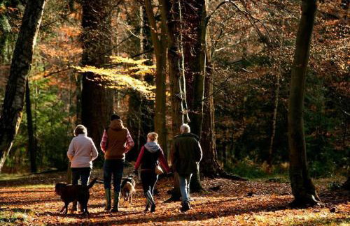 Luxury New Forest Barn, ideal for couples - Photo 57