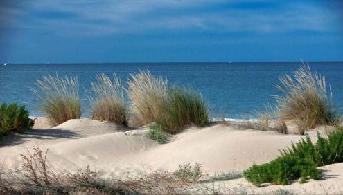 Apartamentos Enebrales - Foto 2