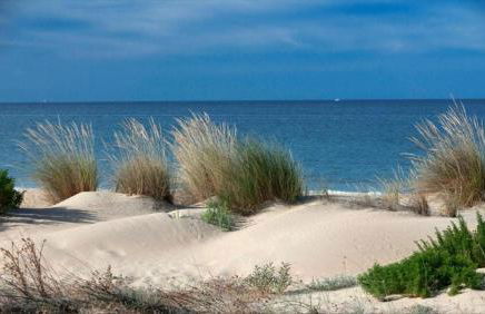 Apartamentos Enebrales - Foto 2