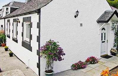 The Old Store - Foto 1