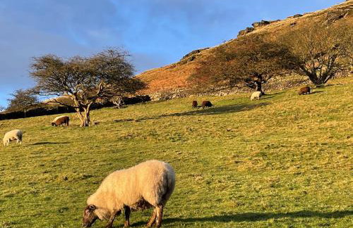 Sycamore Cottage At Naze Farm - Foto 24