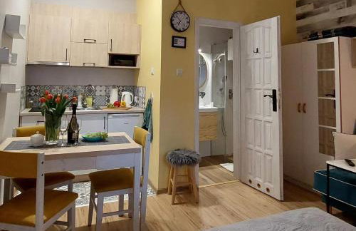 Apartamenty i Mieszkania Wakacyjne - Foto 44