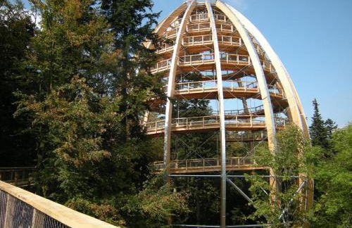 Ferienhof Guglhupf - Foto 61