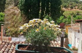 El Rincon De Luna - Foto 12