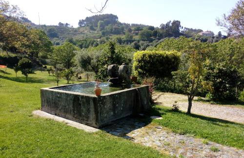 Quinta Souto Chão - Photo 24