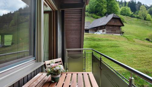 Ferienwohnung Glashütte - Foto 3