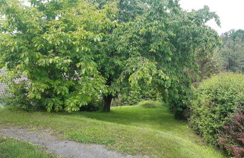 Ferienwohnung-Vivienne - Photo 20