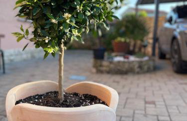 Apartments Sea Heaven - Photo 57