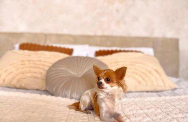 Apartamenty Paryskie Old Town View - Foto 80