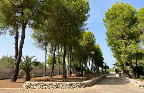 Casette Masseria La Camardia - Foto 57