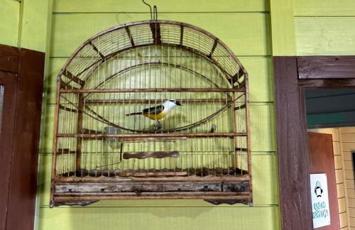 Vila do Chaves - Nossa hospedagem foi matéria no G1 - Foto 20