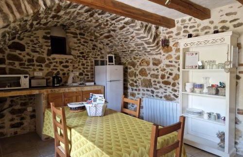 Le Mas Joyeux - Gîte L'Orchidée en Cévennes - Foto 3