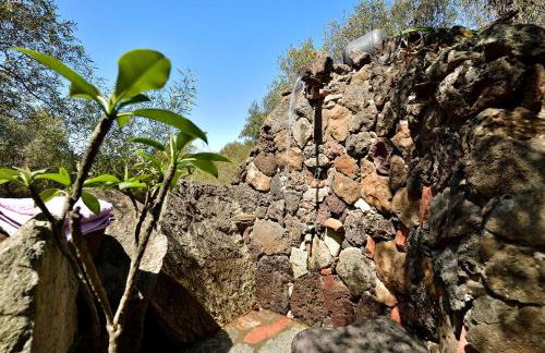 Colori della Sardegna - Foto 21