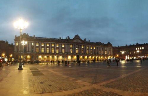 :) Grand studio lumineux à Toulouse et parking - Foto 42