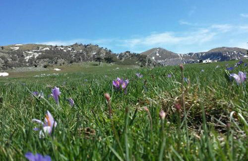 Tana di Zia Nature, Yourself, Love - Foto 44