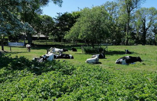 Kapitänsliebe - Foto 35