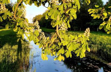 Ferienwohnung Daliah - Foto 11