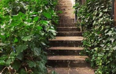 La Stella Alpina - Photo 25