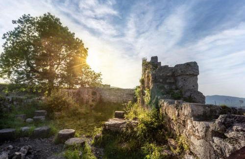 Erholungs- Apartment am Kurpark & Therme Bad Urach - Foto 16