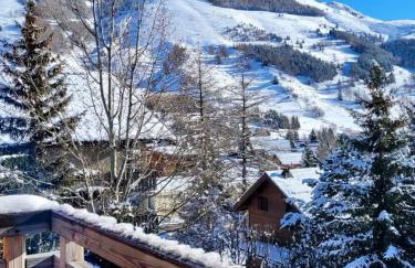 Chalet Red Mount - Esprit chalet au pied des pistes - Foto 9