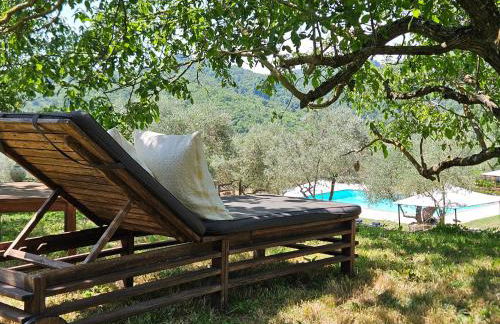 Podere le Muricce - Foto 19