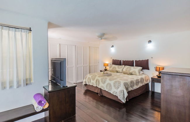 Royal Palms by Bric - Foto 13