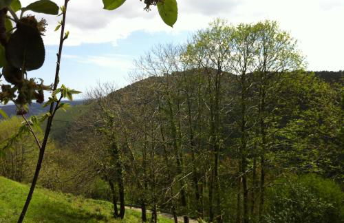 La Quintana de Somao, Casa de Arriba - Photo 25
