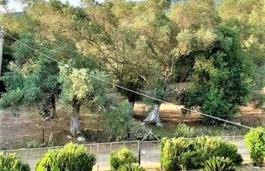 ARTE MARE d'Irene - Foto 79