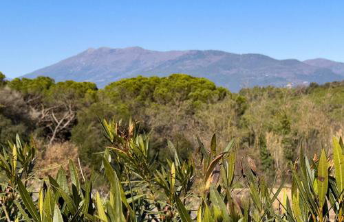 Ca l'Esclatat - Foto 5