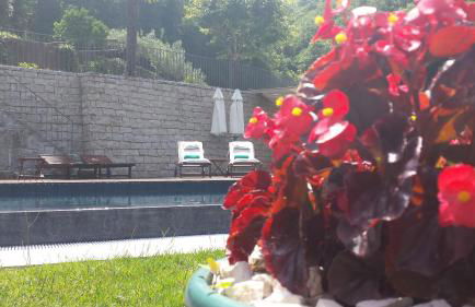 Quinta do Fontelo - Foto 21