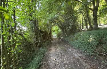 la vallée du paradis studio avec balnéothérapie en campagne - Foto 60