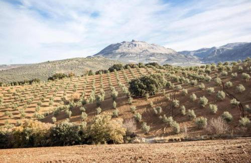 Luxurious Villa in Loja With Swimming Pool - Foto 53