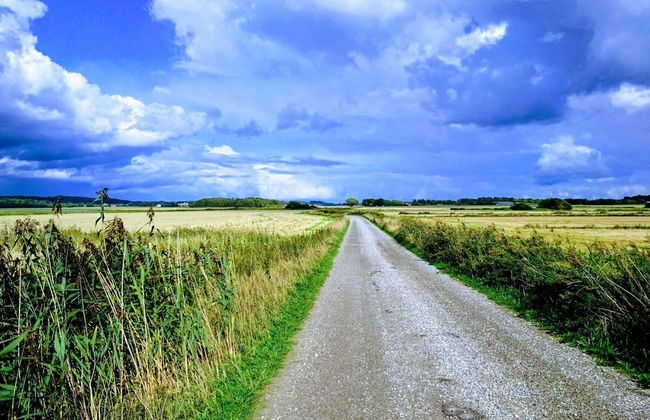 6 Person Holiday Home in Kolind-by Traum - Photo 11