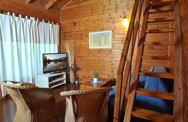 Nofim Belavan - Photo 9