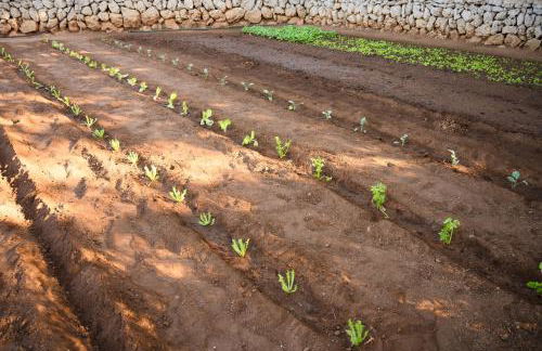 Agroturismo Llucmaçanes Gran - Foto 107