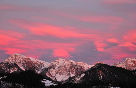 L'GROF - AL CONTE - Photo 26