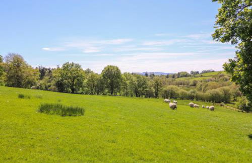 Owl Cottage - Foto 23