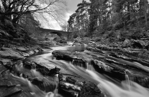 The Bridge Suite - Photo 19