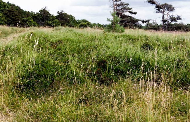 Luxury Villa With Pool - By Traum Ferienwohnungen - Foto 10