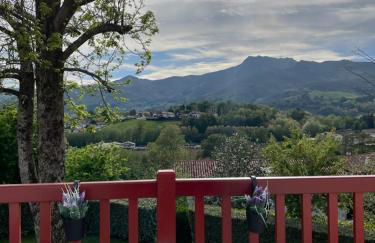 Appartement vue sur la Rhune - Foto 14