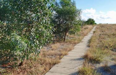 VISTA MARE Su tre piani con giardino - Foto 34