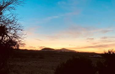 Finca Rivari - Photo 12