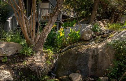 Birdwatch Cottage With River Beach Pass - Photo 22