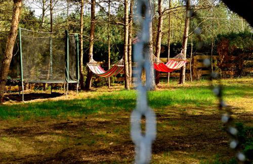 Mazury - Giżycko - Harsz - Domki - ApartMazury Osada - Foto 21