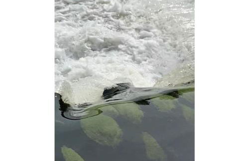 "Oldau's Little Nest" - Foto 39