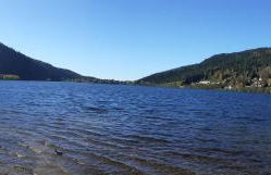 Gite châlet nature haute vosges - Foto 43